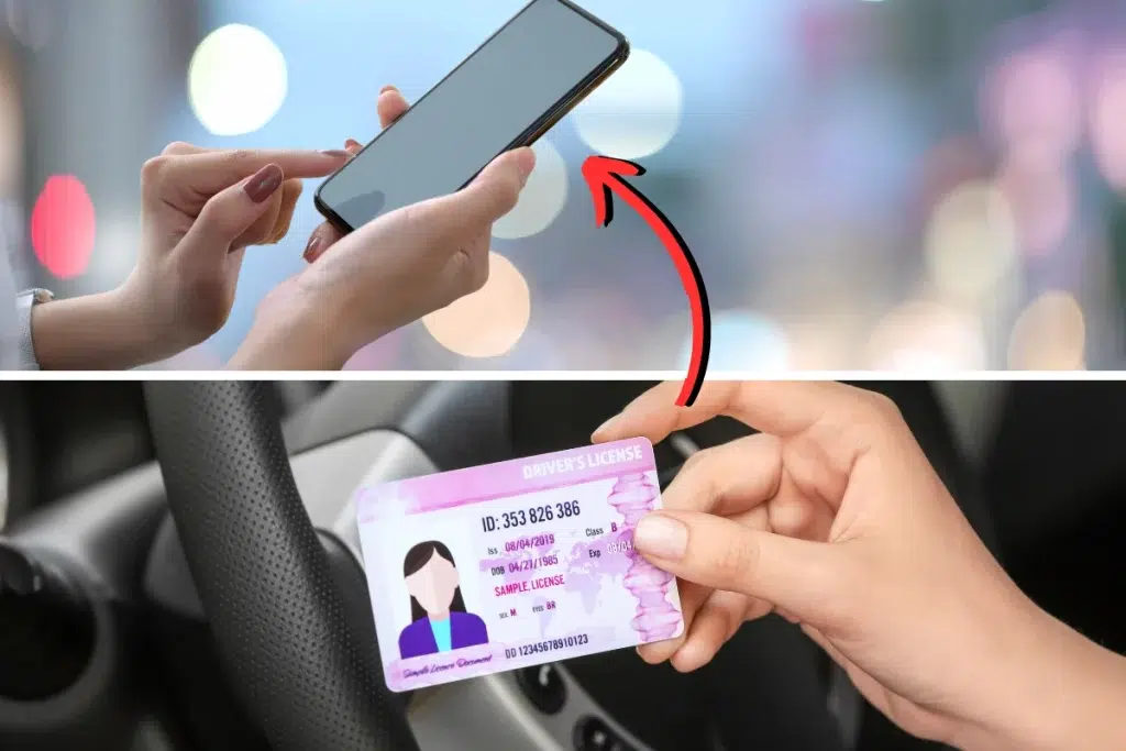 Permis de conduire digitalisé